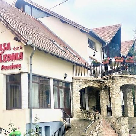 Pensiunea Casa Saxonia Rîşnov エクステリア 写真