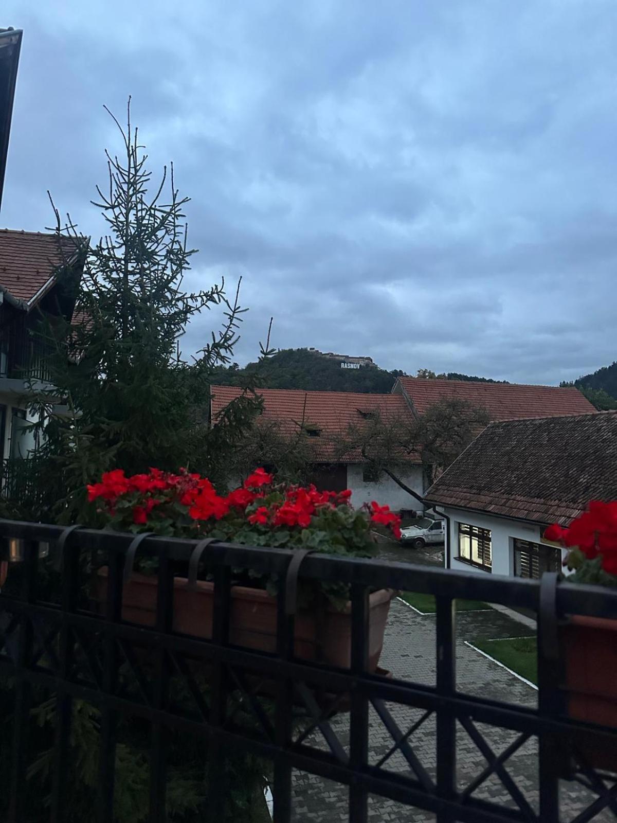 Pensiunea Casa Saxonia Rîşnov エクステリア 写真