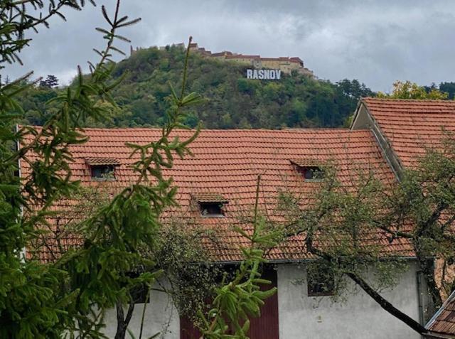 Pensiunea Casa Saxonia Rîşnov エクステリア 写真
