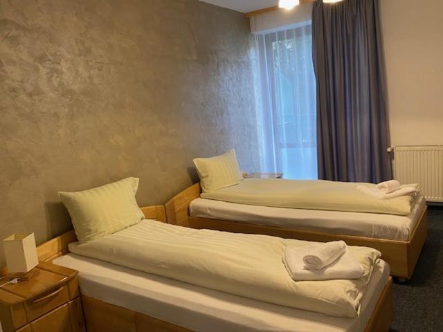 Pensiunea Casa Saxonia Rîşnov エクステリア 写真